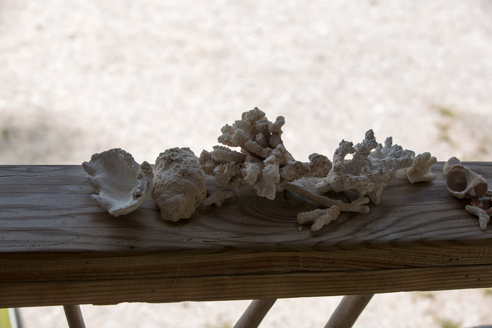 3L9A9238.jpg Tuamotu - Tikehau - Copyright : See Otherwise 2012 - 2026